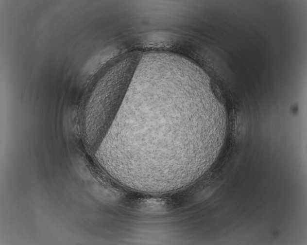 X0000116570692200912311954