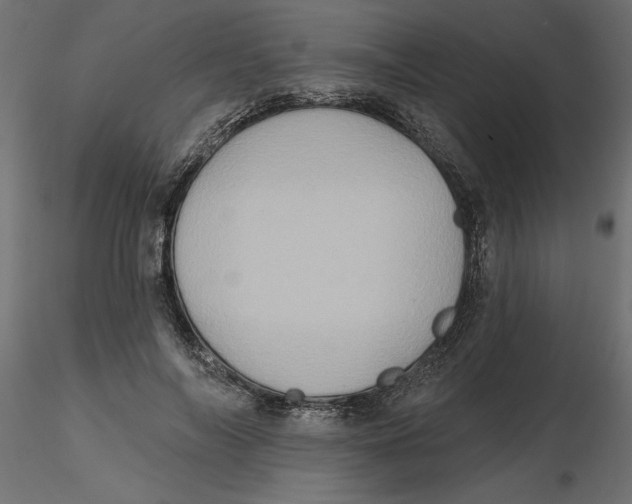 X0000116570694200912311954