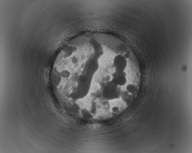 X0000116570695200912311954