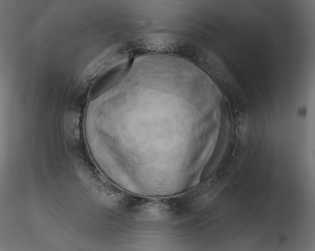 X0000116570696200912311954