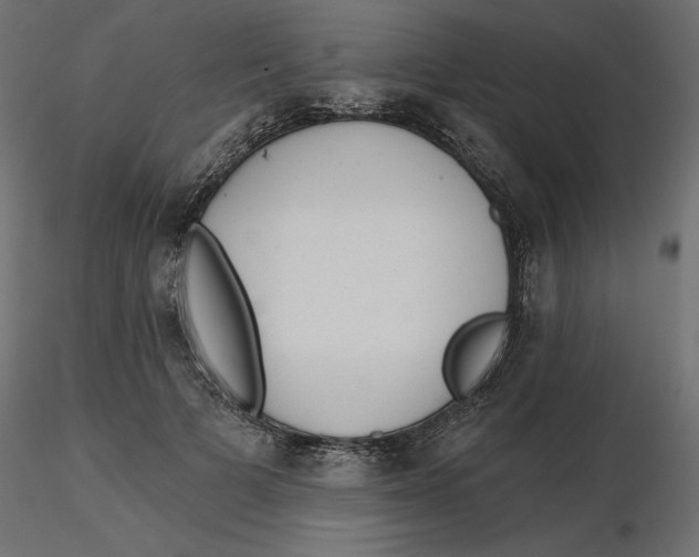 X0000116570697200912311954