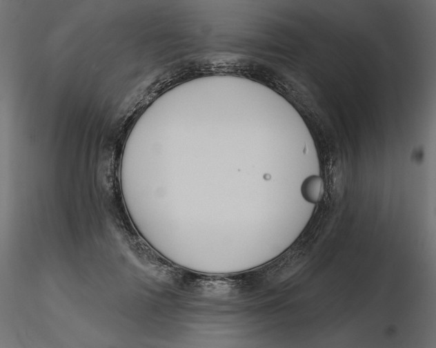 X0000116570698200912311954