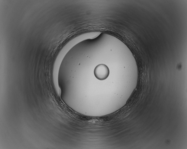 X0000116570700200912311953