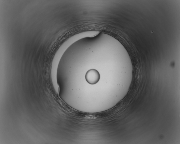 X0000116570701200912311953