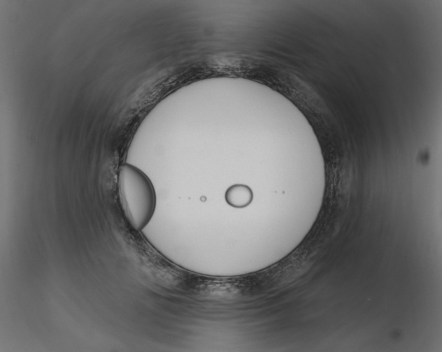 X0000116570702200912311953