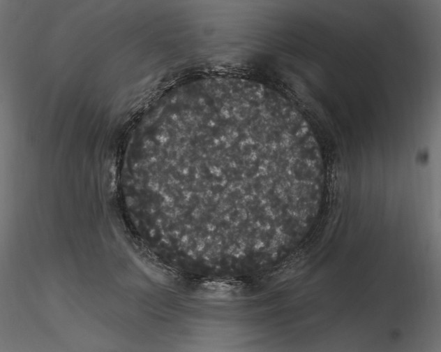 X0000116570703200912311953