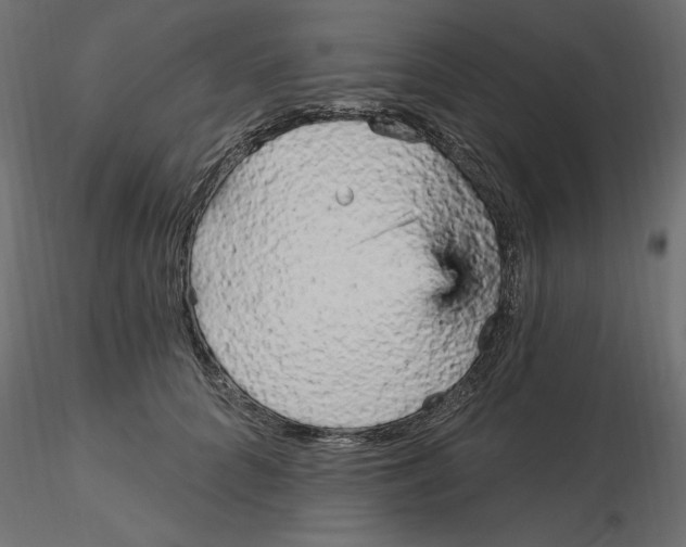 X0000116570704200912311953