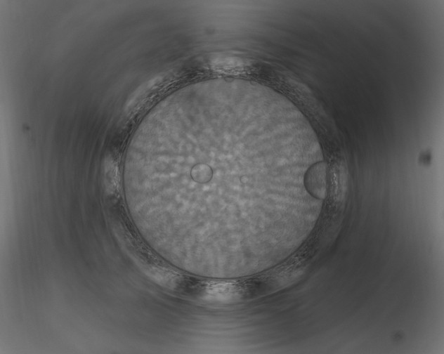 X0000116570705200912311953