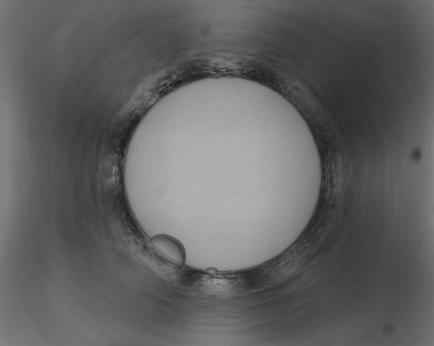 X0000116570706200912311953