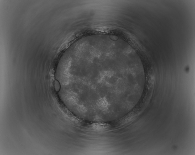 X0000116570707200912311953