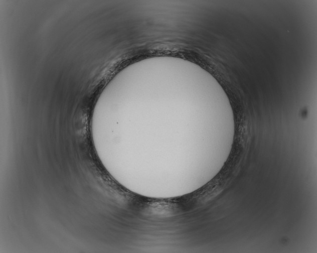 X0000116570708200912311953