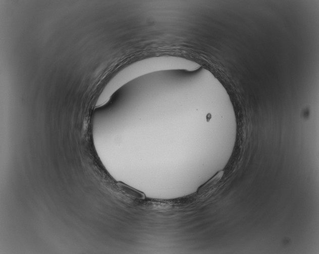 X0000116570709200912311953