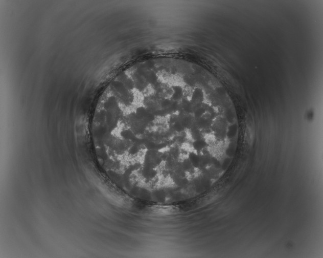 X0000116570711200912311953