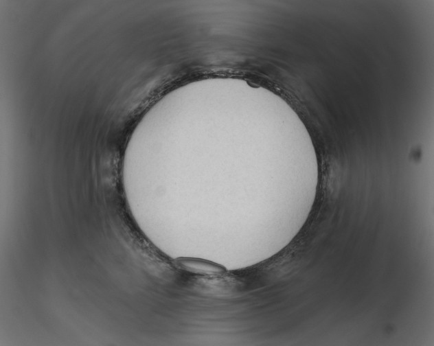 X0000116570712200912311953