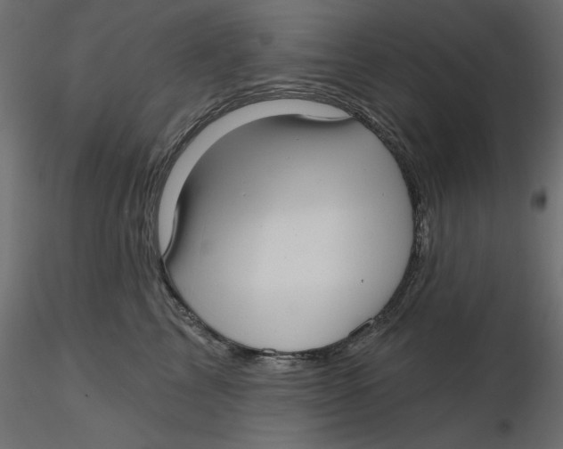 X0000116570713200912311953