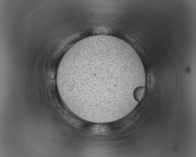 X0000116570714200912311953