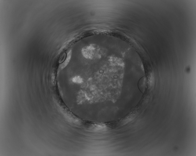 X0000116570715200912311953