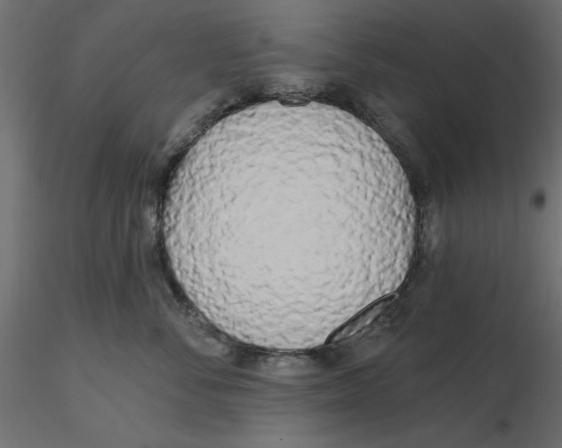 X0000116570716200912311953