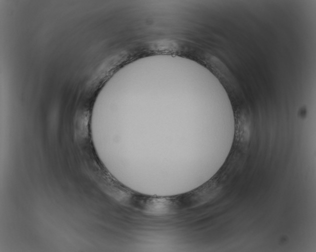 X0000116570717200912311953