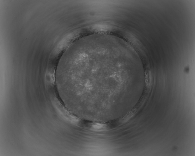 X0000116570718200912311953