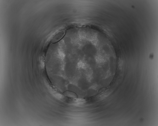 X0000116570719200912311953