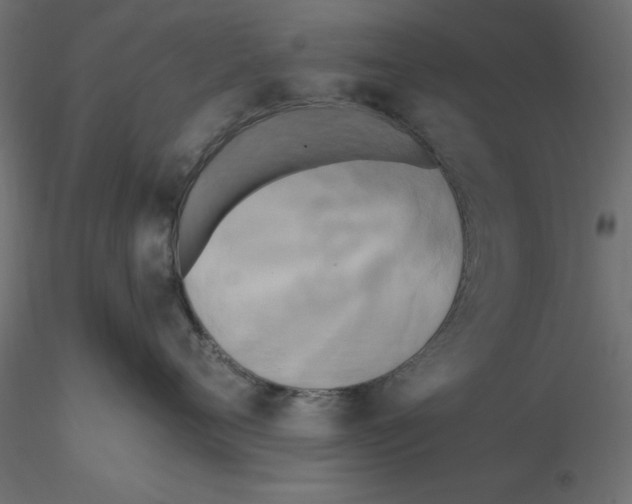 X0000116570720200912311953