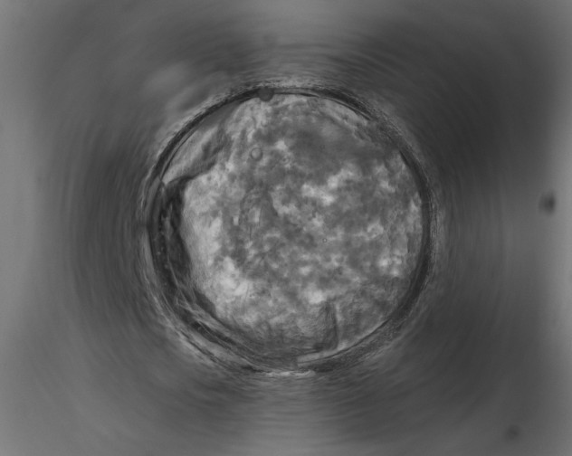 X0000116570721200912311953