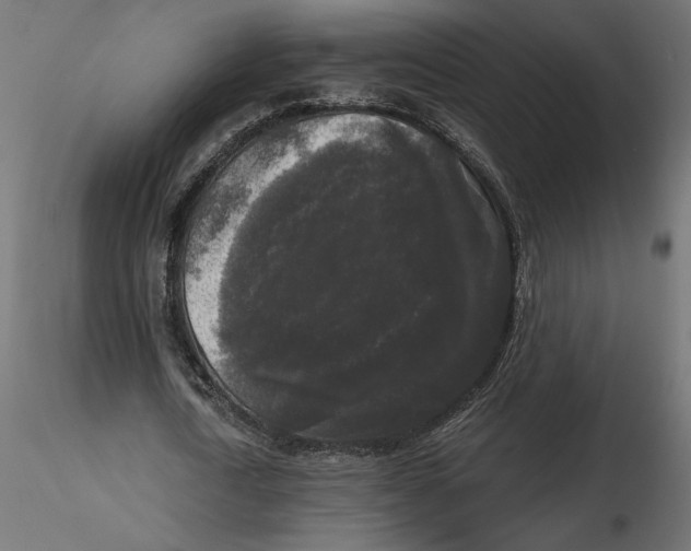 X0000116570722200912311953