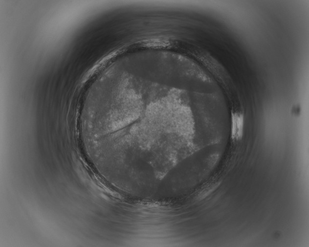 X0000116570723200912311953