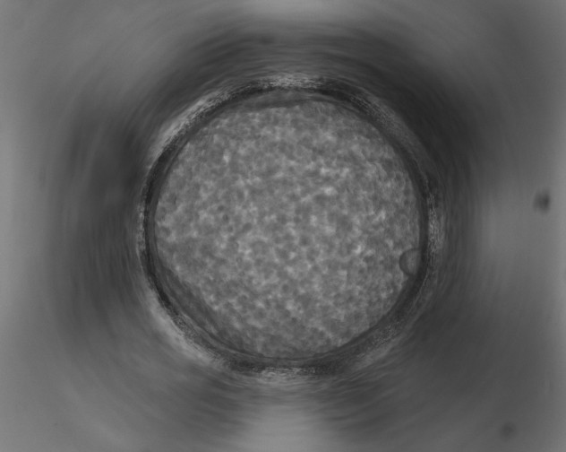 X0000116570725200912311953