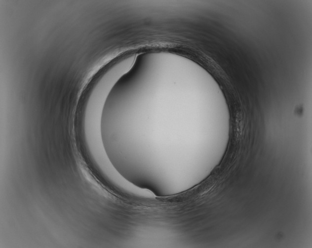 X0000116570726200912311953