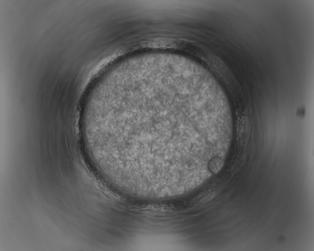 X0000116570727200912311953