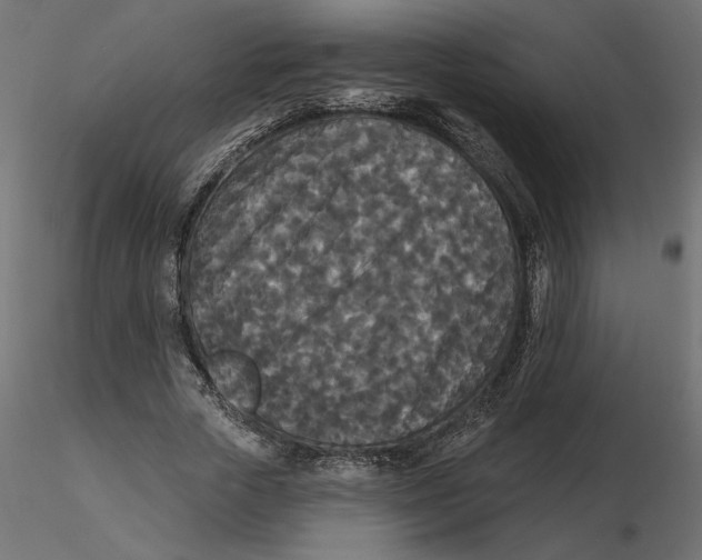 X0000116570729200912311953