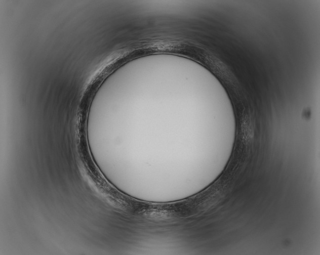 X0000116570730200912311953