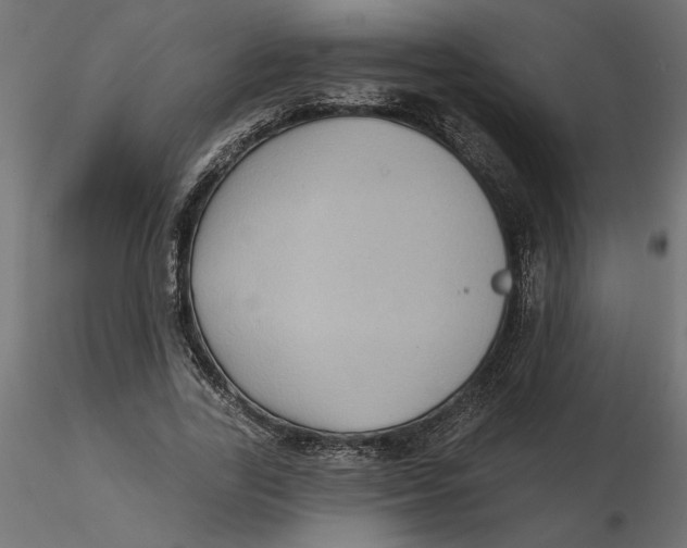 X0000116570731200912311953