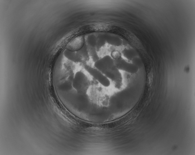 X0000116570733200912311953