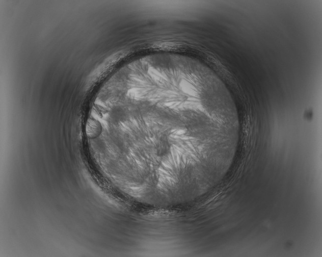 X0000116570734200912311953