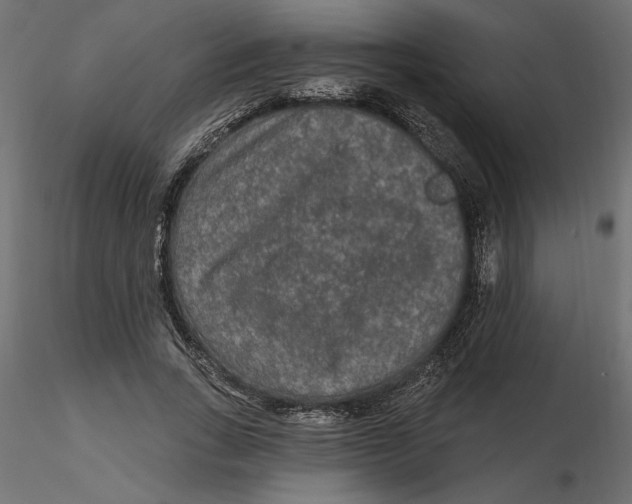 X0000116570735200912311953