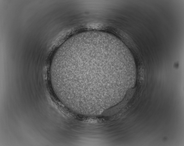 X0000116570738200912311953