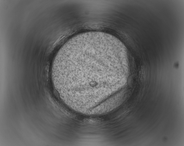 X0000116570739200912311953