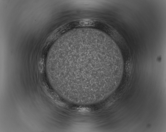 X0000116570741200912311953