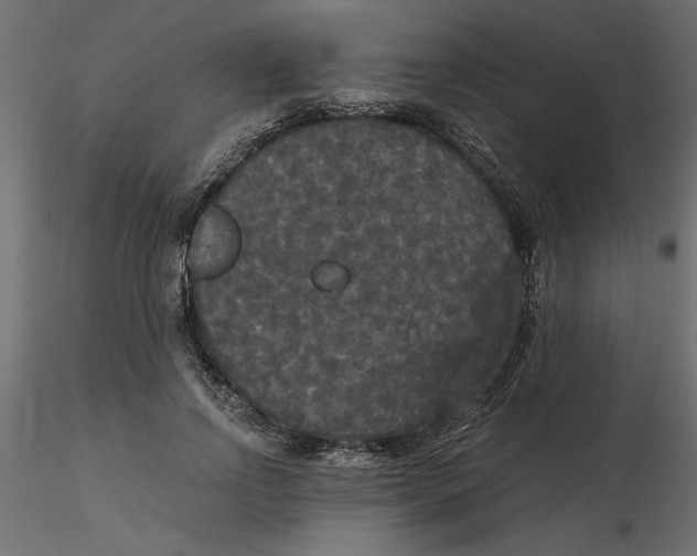 X0000116570742200912311953