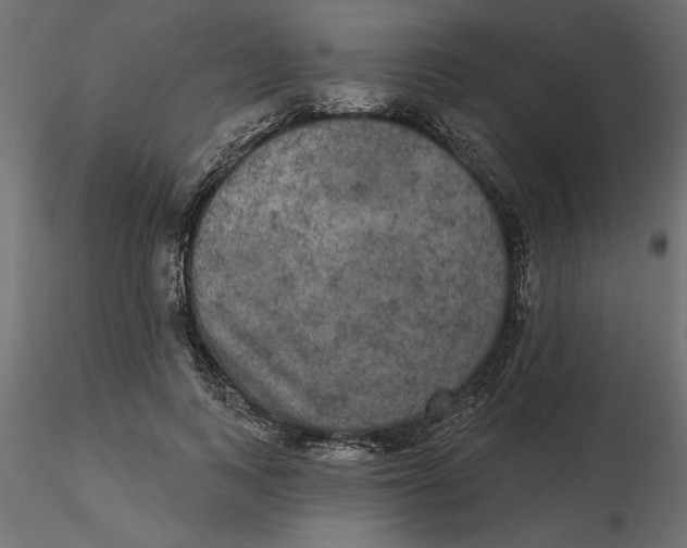 X0000116570743200912311953