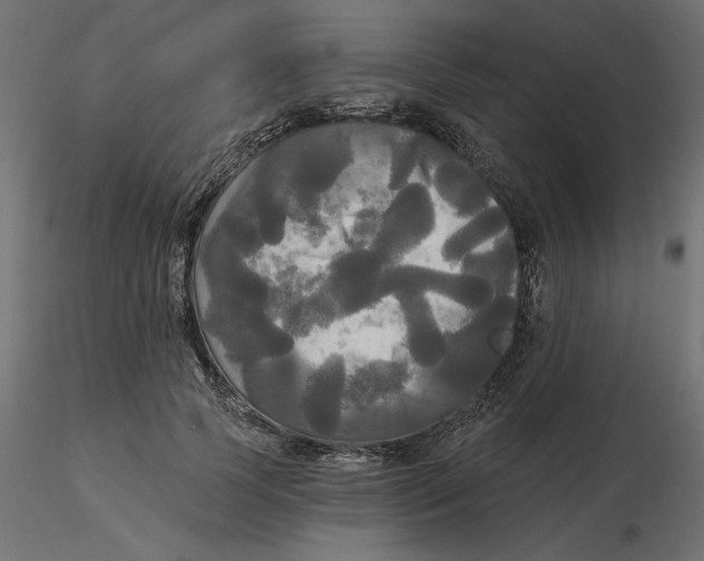 X0000116570745200912311953