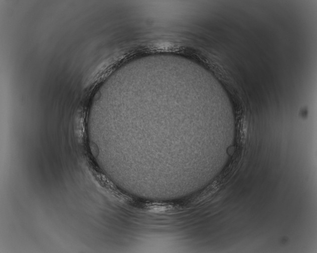 X0000116570746200912311953