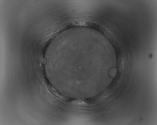 X0000116570747200912311953