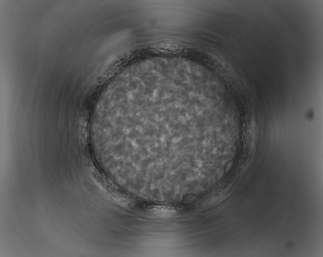 X0000116570749200912311953