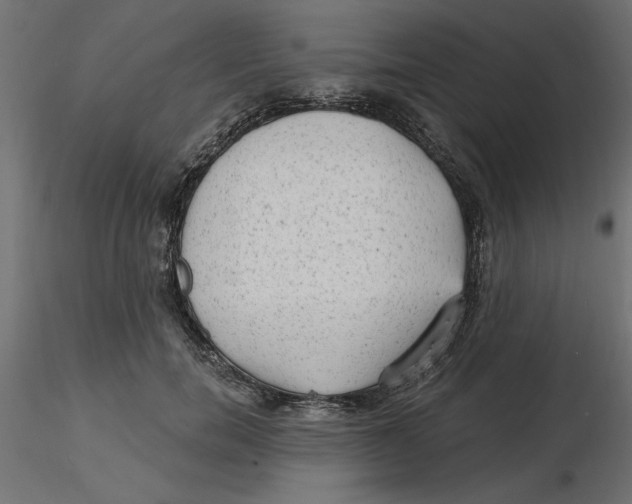 X0000116570750200912311953