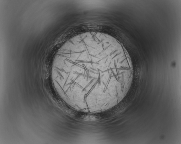 X0000116570751200912311953