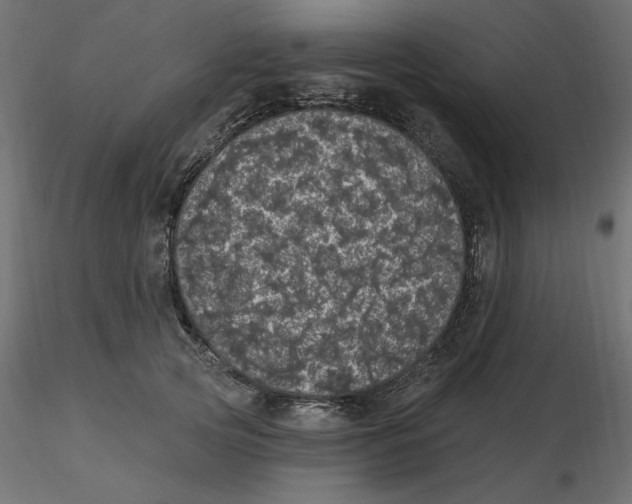 X0000116570753200912311953